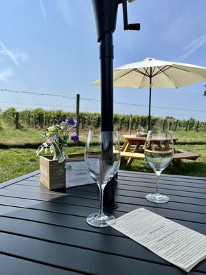 Va La Vineyards by null