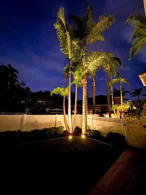 Landscape Lighting - Luxury Landscape Lighting Design & Installation

A professionally designed landscape lighting system transforms your home after dark by highlighting architectural features, specimen trees, pathways, gardens, and outdoor living spaces. We custom design every system to create the perfect balance of beauty, safety, and functionality using premium brass fixtures and warm LED lighting built to last.