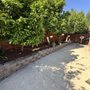 Photo of Economy Landscaping