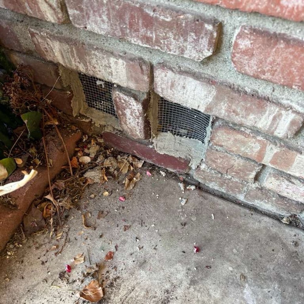 360 Rodent Control - Pest Control Near Me 360 Rodent Control - Pest Control Near Me