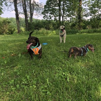 Strawtown Koteewi Park - Dog-Approved! - Parks Near Me - Noblesville, Indiana