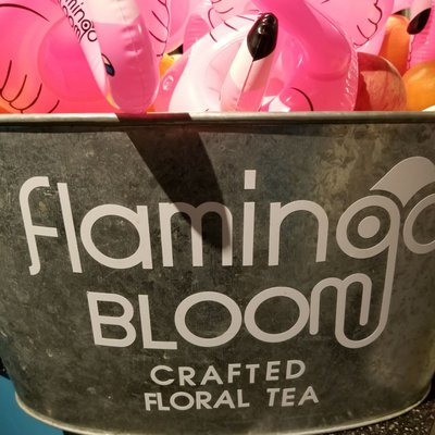 Flamingo Bloom, TST by null