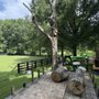 Langford Tree Care
