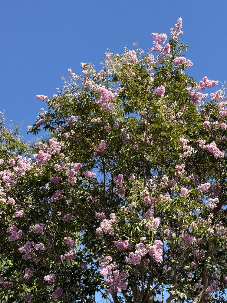 Hurtt Family Health Clinic - grief counselor in Anaheim, CA