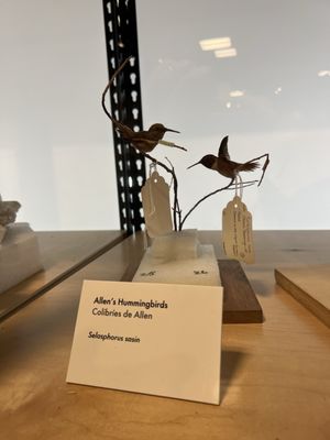 San Diego Natural History Museum by null