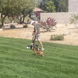 Walk & Train - Oscar, my helper dog, assists me in teaching Vance to heal!
