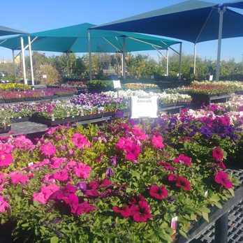 Summerwinds Nursery West Bell Updated Covid 19 Hours Summerwinds Nursery West Bell