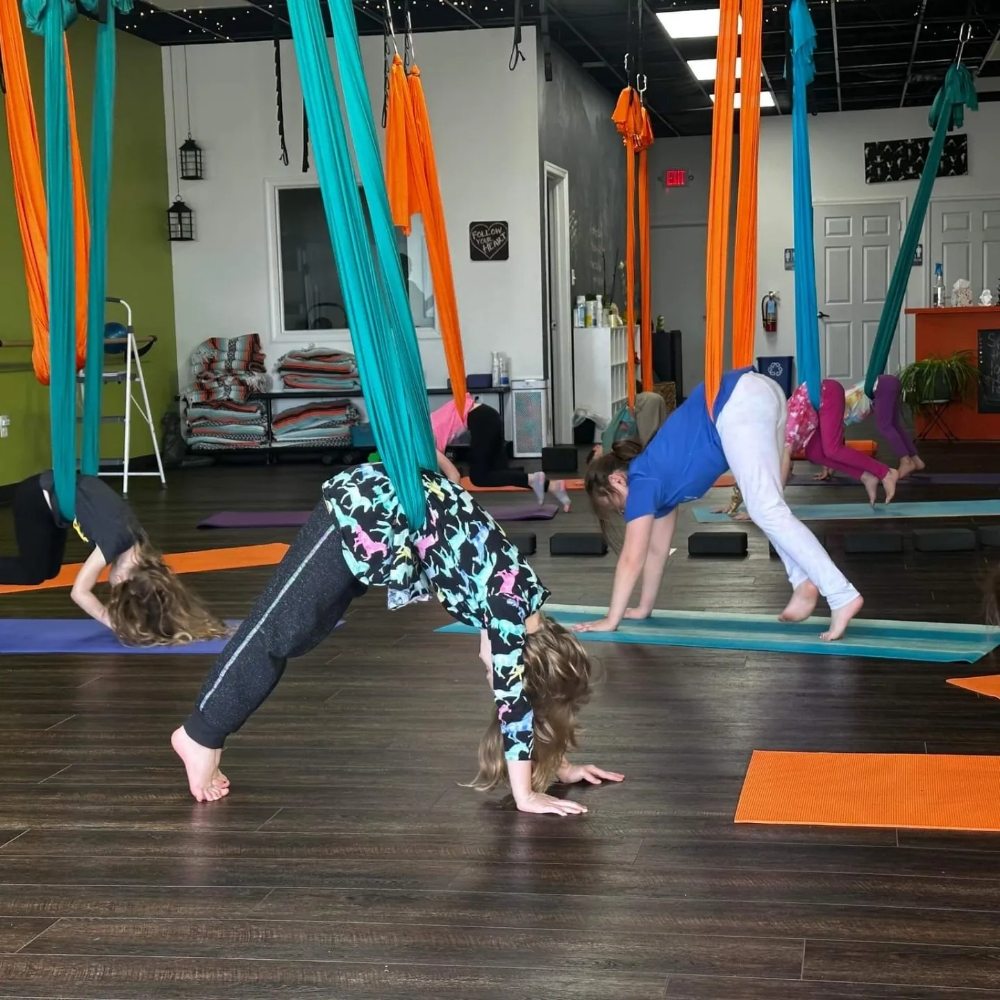 Flying Frog Fitness Logo