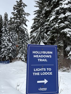 Cypress Mountain by null