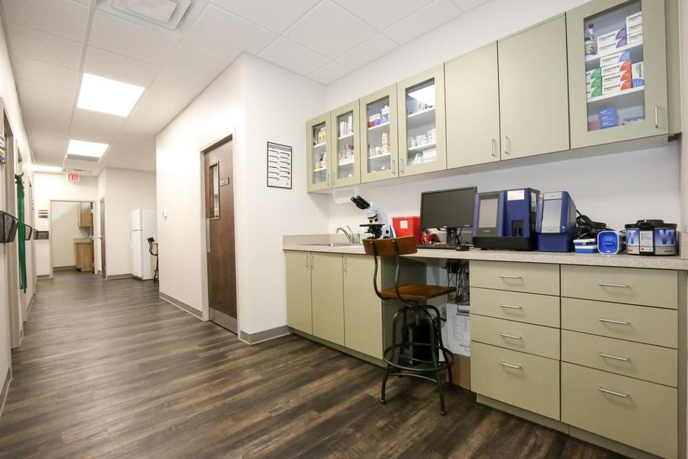 Greenbrier Veterinary Services