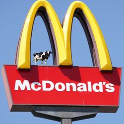 McDonald's - McDonald's sign & friend