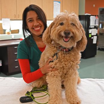 HELEN WOODWARD ANIMAL CENTER COMPANION ANIMAL HOSPITAL - Updated