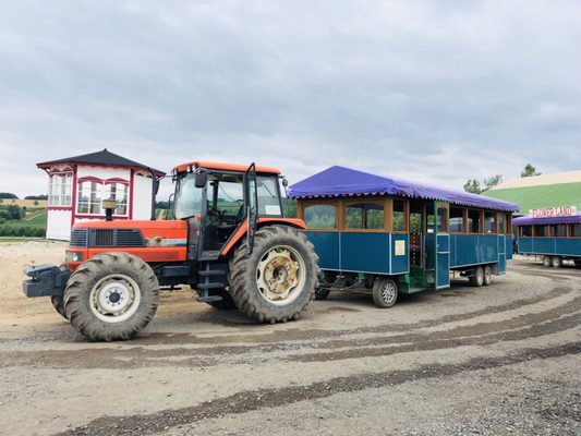 Flower Land Kamifurano by null