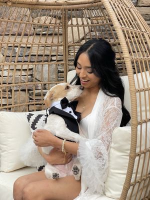 The Crossings at Carlsbad by null