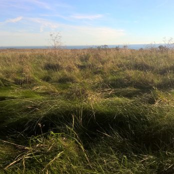 Brighton Dog Adventures - Dog Walkers Near Me - Brighton, BNH Brighton Dog Adventures - Dog Walkers Near Me - Brighton, BNH