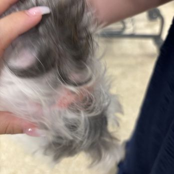 PetSmart - Pet Stores Near Me - Houston, Texas