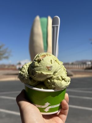 McGinn's PistachioLand by null