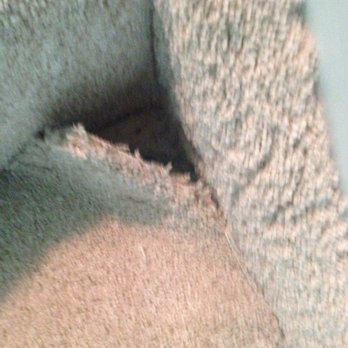 Harry's Corner Tri-County Carpet Center - My 5 yr old could pull the carpet off the stairs - Carpeting Near Me - Cincinnati, Ohio Harry's Corner Tri-County Carpet Center - My 5 yr old could pull the carpet off the stairs - Carpeting Near Me - Cincinnati, Ohio