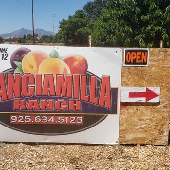 Canciamilla Ranch - Sign at entrance to ranch - Fruits & Veggies Near Me - Brentwood, California Canciamilla Ranch - Sign at entrance to ranch - Fruits & Veggies Near Me - Brentwood, California