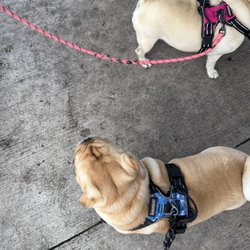 Gary B. Jones Park for People and Pups