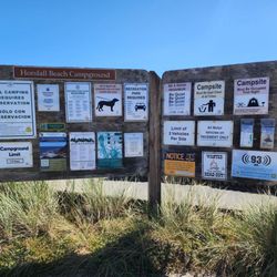 Horsfall Beach Campground and Day Use Area - Dogs allowed on leash