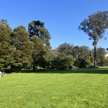 Golden Gate Park - Hippie Hill - Parks Near Me - San Francisco, California