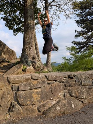 Shenandoah National Park by null