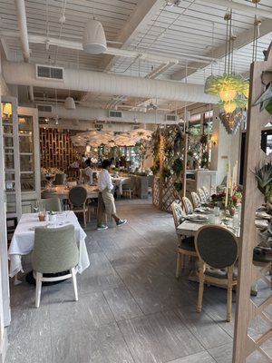 Succulent Fine Dining by null