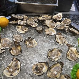 Raw Oysters