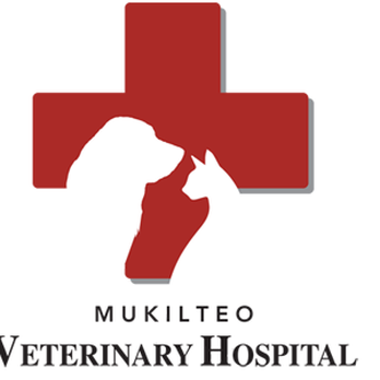 Mukilteo Veterinary Hospital - Veterinarians Near Me - Mukilteo, Washington Mukilteo Veterinary Hospital - Veterinarians Near Me - Mukilteo, Washington