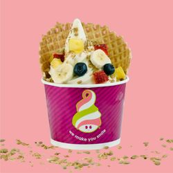Menchie's Frozen Yogurt