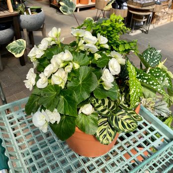 Tonkadale Greenhouse - Pre-assembled outdoor planter - Nurseries & Gardening Near Me - Minnetonka, Minnesota Tonkadale Greenhouse - Pre-assembled outdoor planter - Nurseries & Gardening Near Me - Minnetonka, Minnesota