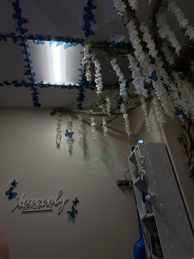 Heavenly Esthetics Logo