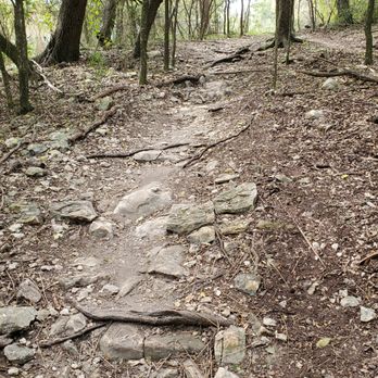 OP Schnabel Park - East side - hills, rocks, and roots - Parks Near Me - San Antonio, Texas OP Schnabel Park - East side - hills, rocks, and roots - Parks Near Me - San Antonio, Texas