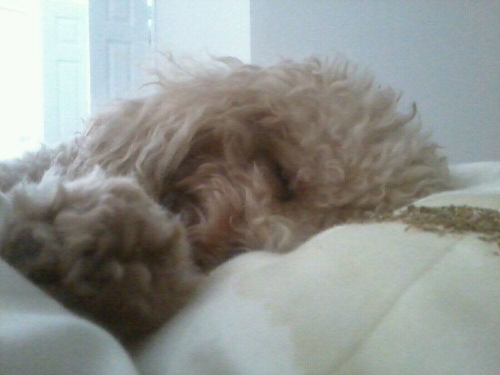 TUCKAWAY AT SHAWNEE Updated September 2024 7160 Lackman Rd, Shawnee