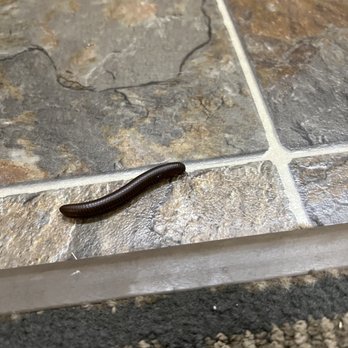 Residence Inn by Marriott Durham Research Triangle Park - I let him outside, didn't kill him :-) - Hotels Near Me - Durham, North Carolina Residence Inn by Marriott Durham Research Triangle Park - I let him outside, didn't kill him :-) - Hotels Near Me - Durham, North Carolina