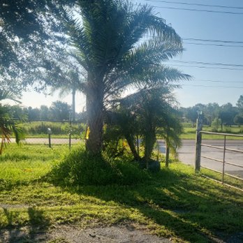 Lopez Landscaping - Give new life to your yard with Lopez Landscaping Nursery & Design, LLC! - Landscaping Near Me - Lakeland, Florida Lopez Landscaping - Give new life to your yard with Lopez Landscaping Nursery & Design, LLC! - Landscaping Near Me - Lakeland, Florida