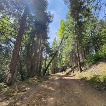 Jackson Road Trail - Jackson Road/Tenaya Loop Trail, Madera County: 2026 May 20 - Hiking Near Me - Fish Camp, California Jackson Road Trail - Jackson Road/Tenaya Loop Trail, Madera County: 2026 May 20 - Hiking Near Me - Fish Camp, California