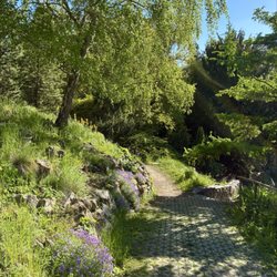 Botanická zahrada Přírodovědecké fakulty - One of the upper trails within the garden in May