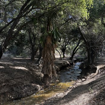 Aliso Canyon Park - Outside - Hiking Near Me - Granada Hills, California