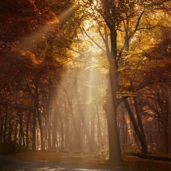 2 Asheville Healing Hands - Massage Therapy Near Me - Asheville, North Carolina 2 Asheville Healing Hands - Massage Therapy Near Me - Asheville, North Carolina