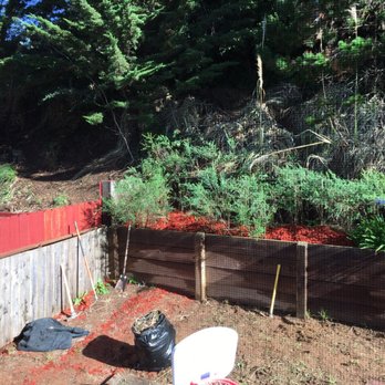 Go Green Landscaping - a garden with a fence and a toilet - Irrigation Near Me