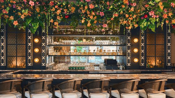 Bar Tontine by null