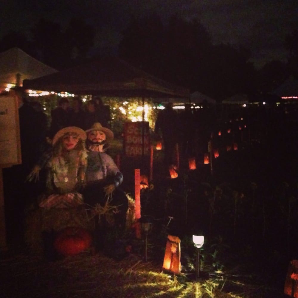 Soil Born Farm Urban Agriculture Project - social services organization in Sacramento, CA