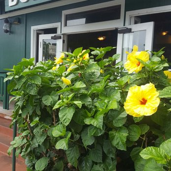 Bubba Burgers - Bubba's: finally regularly priced food on the island, with some of the best fries in the world. - Burgers Near Me - Kapaa, Hawaii