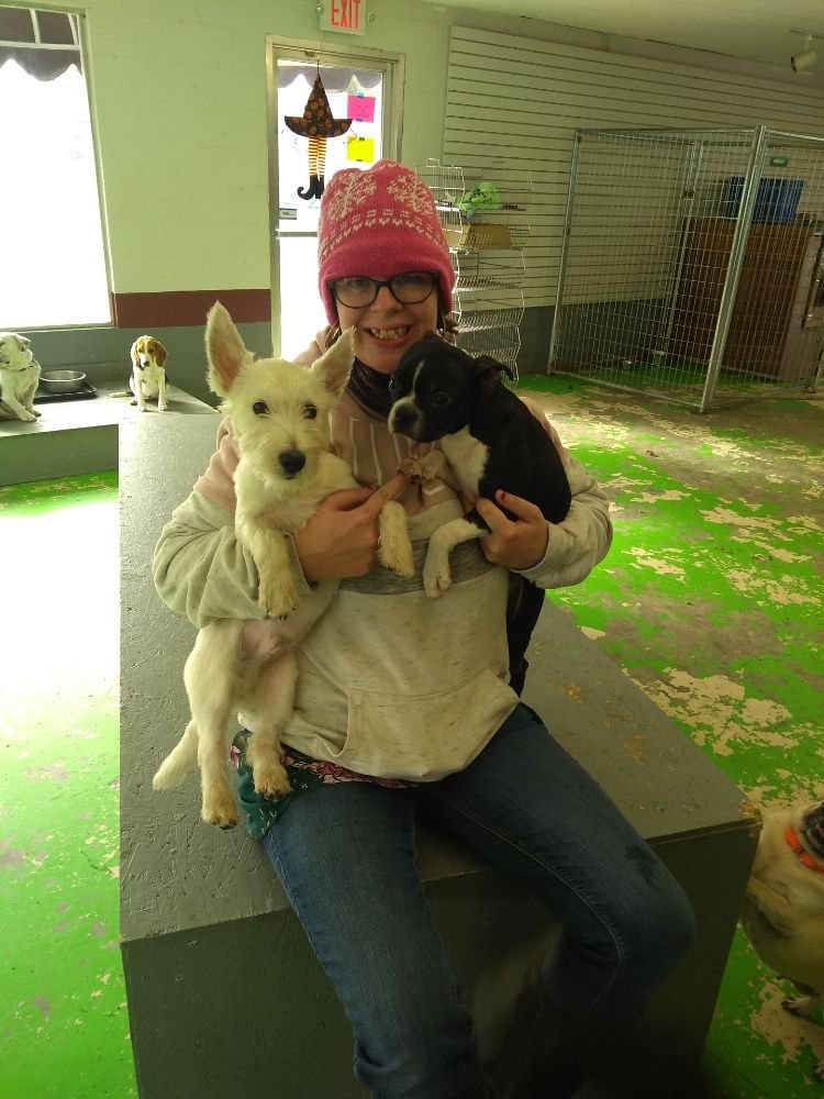 K9 TO 5 DAYCARE AND BOARDING Updated April 2024 220 E Markland Ave