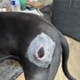 Photo of State Line Animal Hospital