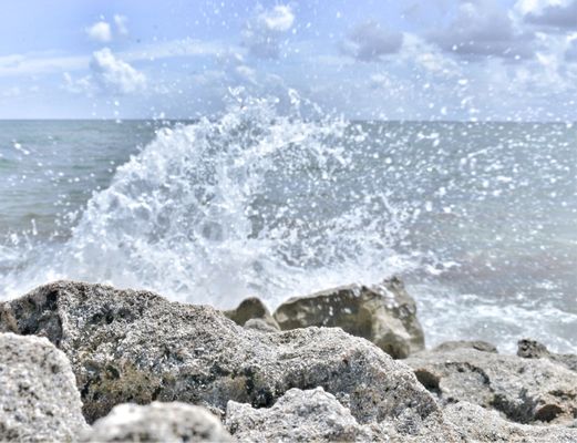 Blowing Rocks Preserve by null