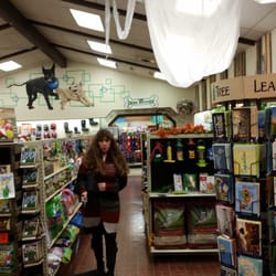 Blue Seal Feeds & Needs - In the back is a wonderland of dog supplies.