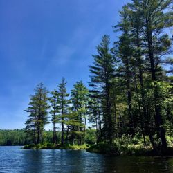 Lowell Lake State Park - Majestic